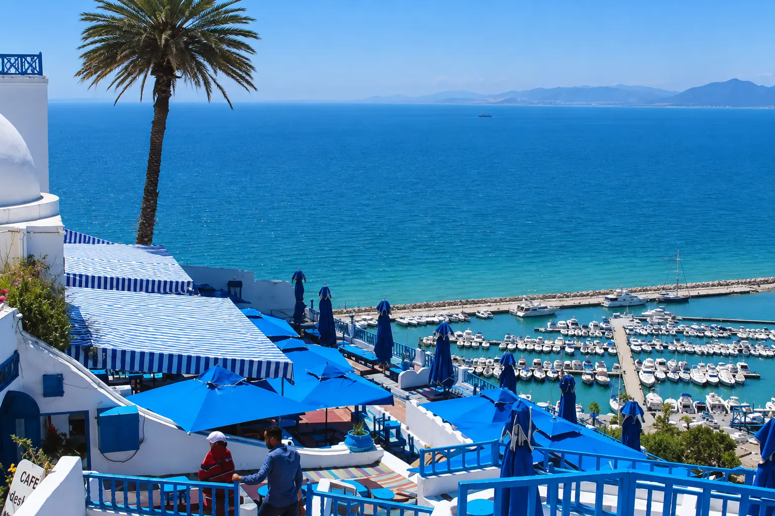 Village bleu et blanc de Sidi Bou Saïd
